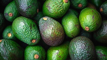 fresh avocado fruit in market