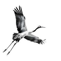 Fototapeta premium Crane Flying Isolated