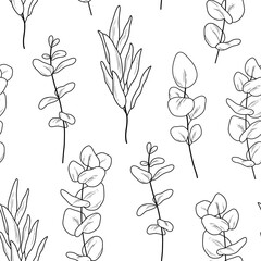 Hand drawn vector monochrome seamless pattern with eucaliptus branches. Vector line illustration with eucalyptus leaves isolated on white background - obrazy, fototapety, plakaty