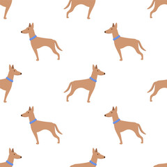 Vector seamless pattern with cute dog isolated on white