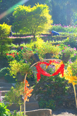 Stone stairs in garden amid trees and flowers on hill 3