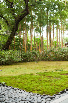 NIHONSHIKI TEIEN 
