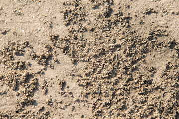 Sand texture background. Close up of sand texture. Sand background.