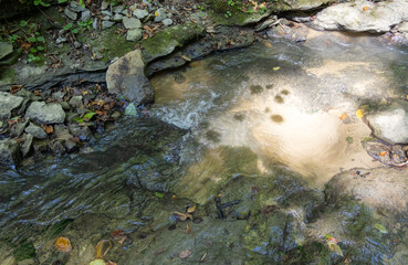 Morning on a mountain river, walking, awakening in nature summer sunny mood.