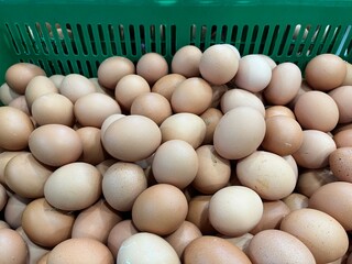 Full fresh eggs in green basket from hen farm that preserved for sale in wholesale and retail market