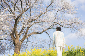 大きな桜の木の前に立つ若い男性/花が咲いている