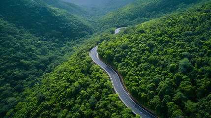 Aerial view of a mountain forest road winding through a beautiful summer landscape, surrounded by lush green trees and a dramatic sky with clouds.