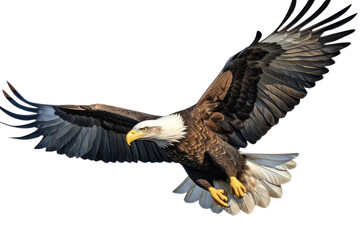 Eagle on transparent background