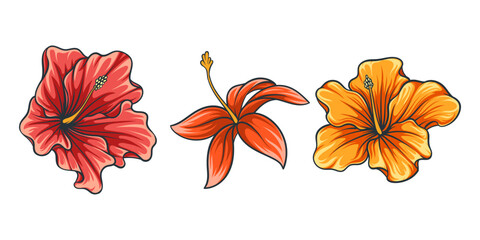 tropical flowers aloha floral illustration