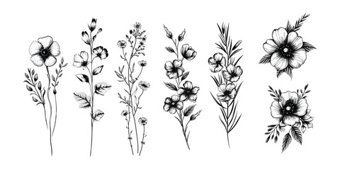 Botanical rustic trendy greenery vector. Hand drawn wedding branch herb, minimalist flowers with elegant leaves.  - obrazy, fototapety, plakaty