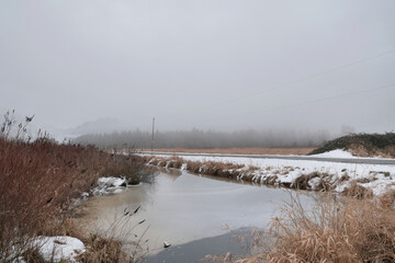 Looking at a ditch along Rannie Road near the Grant Narrows Regional Park and Pitt River Dike...