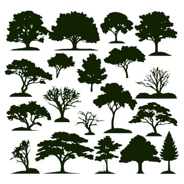 set of plant and tree silhouette vector