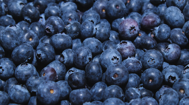 Close up of fresh blueberries, natural background 