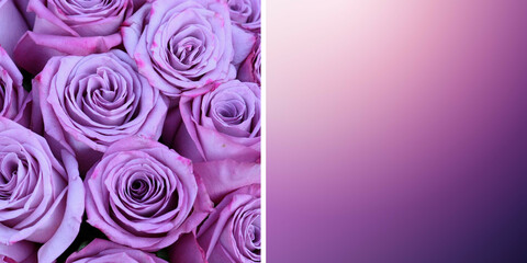 Horizontal background of pink roses. Oil painting imitation. 3D illustration.