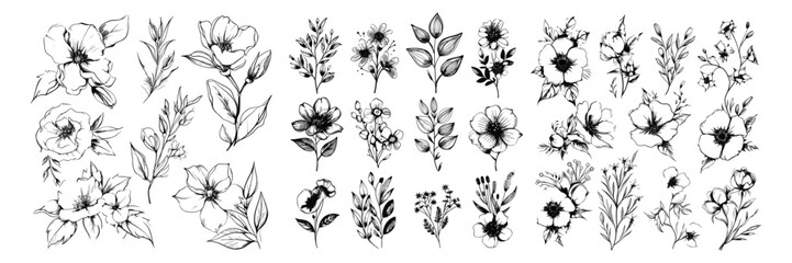 Luxury botanical background with trendy wildflowers and minimalist flowers for wall decoration or wedding. Hand drawn line herb, elegant leaves.