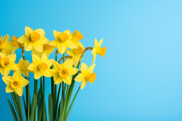 Obraz premium Vibrant Yellow Daffodils Against a Serene Blue Background. Springtime Bloom and Floral Beauty Concept