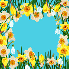 Square floral frame frame with daffodils, snowdrops, crocuses.