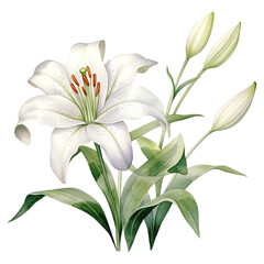 Fototapeta na wymiar Elegant Blooms: Embrace Easter with the Timeless Beauty of Easter Lily