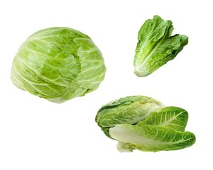 close up and top view fresh Head of green cabbage.isolate on white background with clipping path