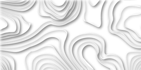 Abstract lines background. Topo contour map on white background, Abstract wavy line 3d paper cut white background. Topographic canyon geometric map relief texture with curved layers and shadow...