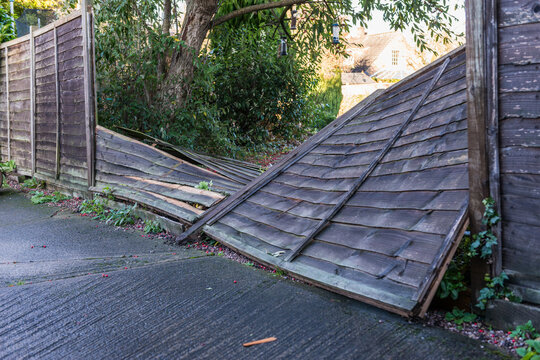 Climate change. Global warming. A wooden garden fence lies broken on the ground after 100mph gale force winds batter Northern England.