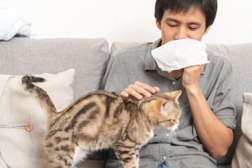 Diseases from pets concept. man is sneezing from fur allergy on the sofa and playing with cat.