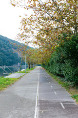 Obraz premium SUMMER TRIP