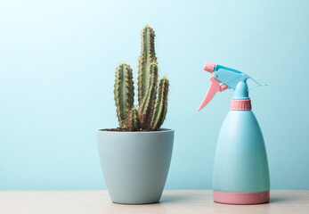 Caring for house plants. Catus pot and water spray bottle on the table