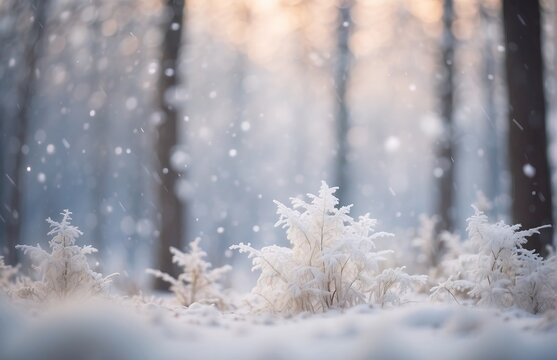 Winter forest under a heavy snowfall