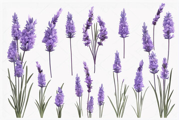 Background of multiple lavender materials