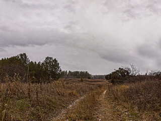 clouds over the field