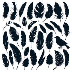 set of bird different types feathers silhouettes