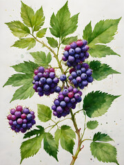 Obraz premium Cluster of ripe red and green grapes on the vine in a vibrant vineyard, representing the beauty of nature, agriculture, and the potential for wine production