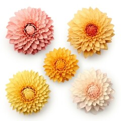 flowers craft made from colored clay. pink, yellow. aster. toy isolated on white background