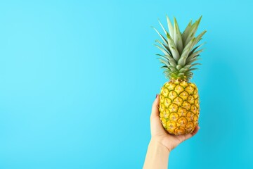 pineapple in hand on a blue background. hand holds pine apple