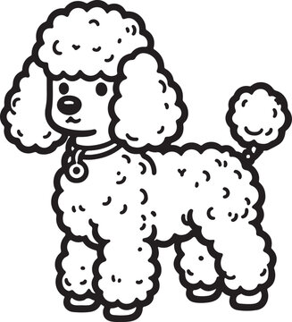 poodle dog pet cartoon outline, line art illustration