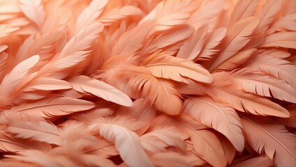 pink flamingo feathers