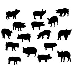 silhouette of a black pig walking