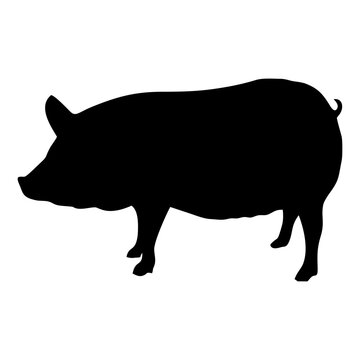 silhouette of a black pig walking