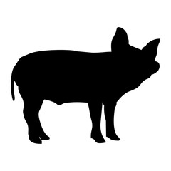 silhouette of a black pig walking