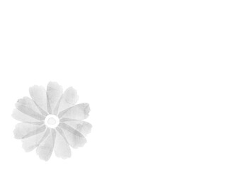 モノクロの水彩の花のイラスト背景素材