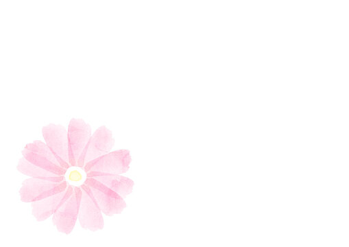 ピンクの水彩の花のイラスト背景素材