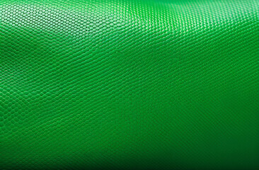 Green snake leather skin background