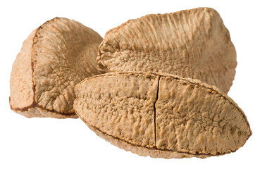 In-sell Brazil nut isolated on the white background.