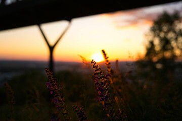 Sunset vibes