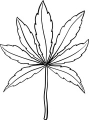 simplicity cannabis leaf freehand drawing