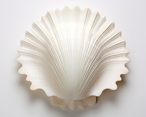 Cream Colored Shells On Ash Background. generative Ai