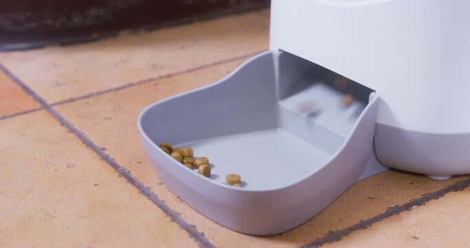 Close-up of automatic plastic gray feeder for cat, dog, dry food pellets fall into tray on floor Innovative technologies, remote device for feeding pet , remote control, maintaining diet at distance