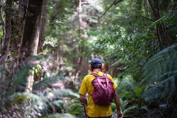 exploring in a rainforest on a trail with a backpack and hiking boots in spring