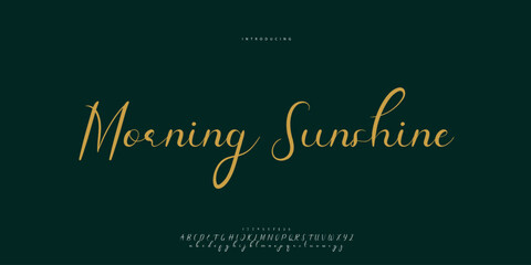 Abstract Fashion font alphabet. Minimal modern urban fonts for logo, brand etc. Typography Calligraphy typeface uppercase lowercase and number. vector illustration
